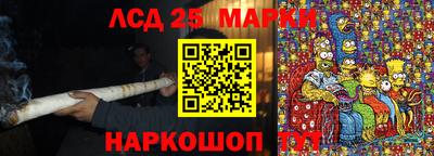 спайс Владимир