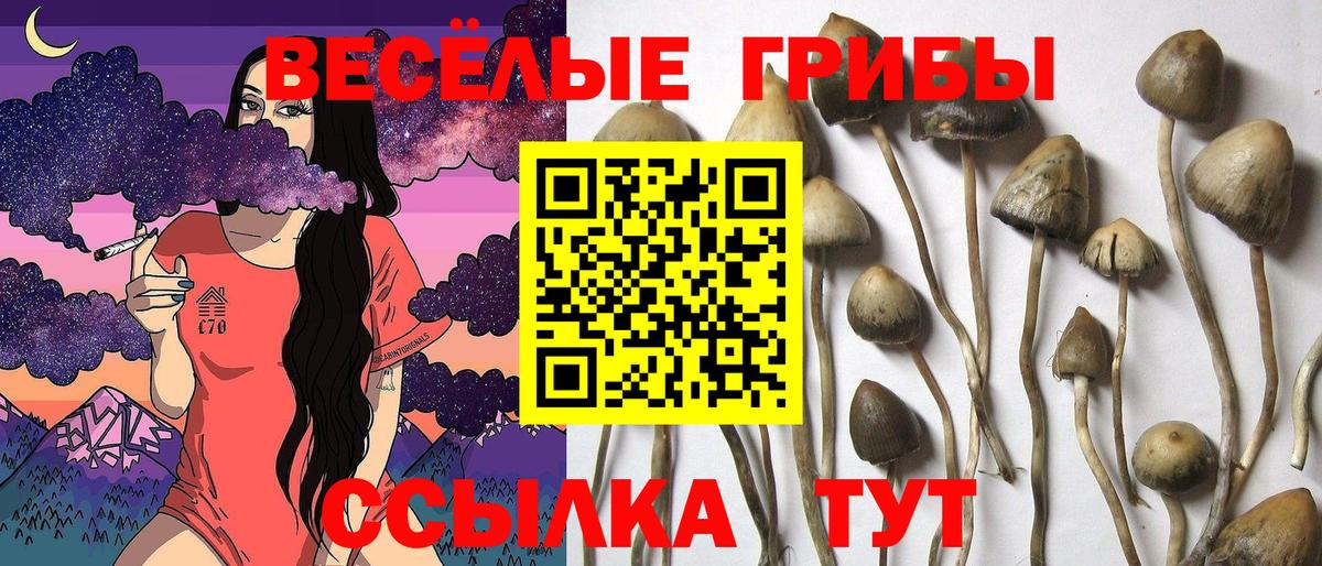Псилоцибиновые грибы MAGIC MUSHROOMS Рузаевка